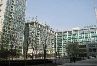 丛台区无糖饼干效果好